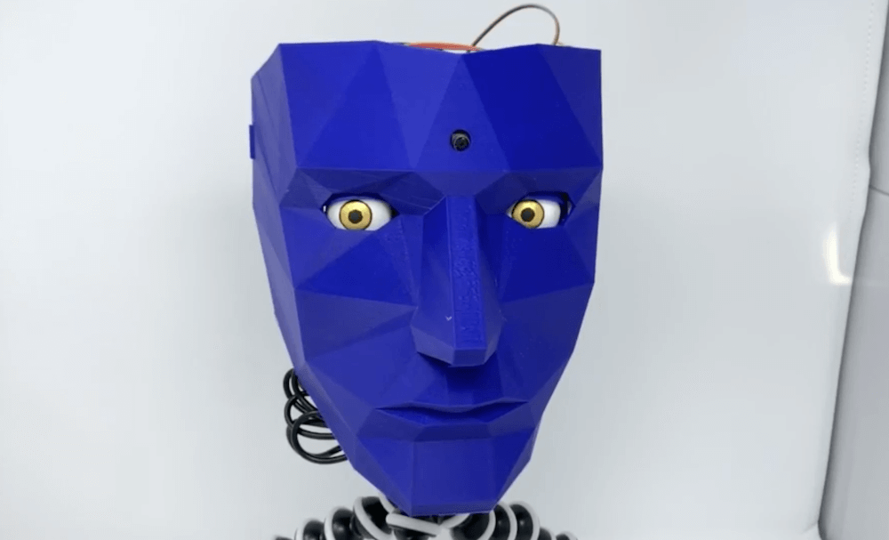 3D-printed robot head 